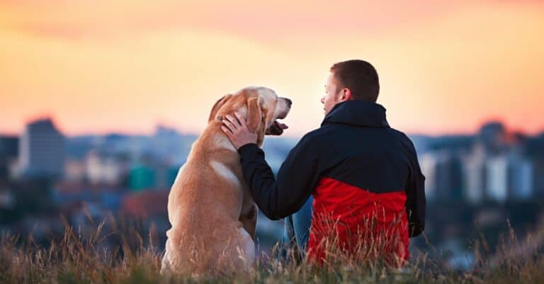 dog sitting with owner on hillside