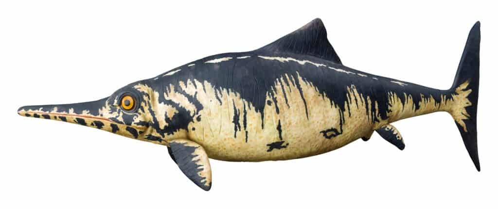 The ichthyosaur was the largest prehistoric sea monster