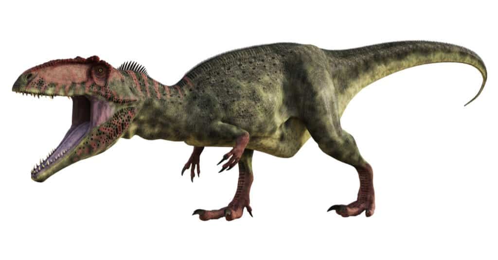 giganotosaurus size comparison to t rex