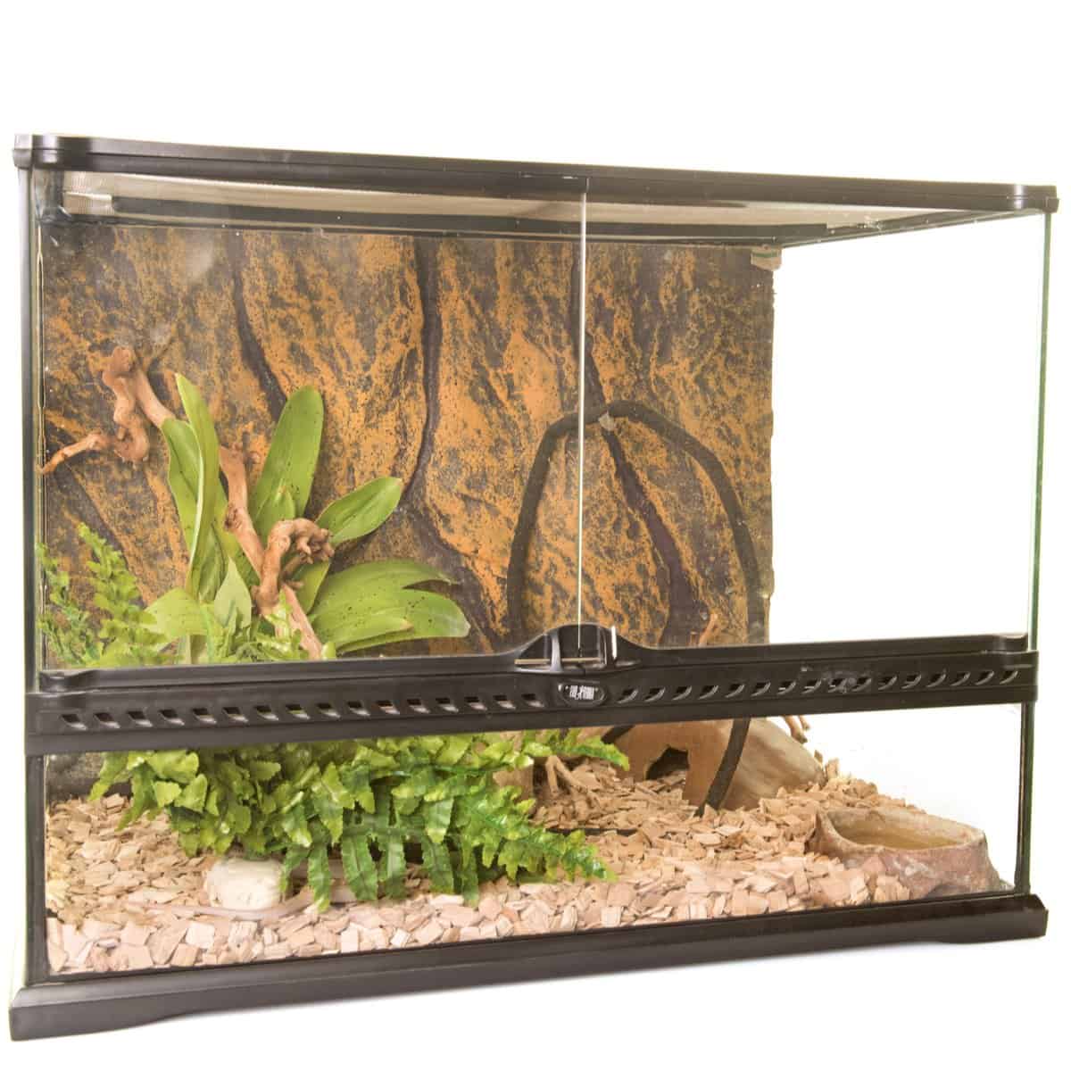 Crested Gecko Enclosure - Terrarium