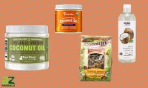 The 4 Best Coconut Oils for Dogs: Reviewed Picture