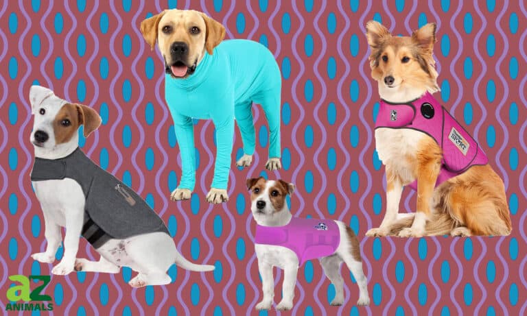 Dog Anxiety Vests