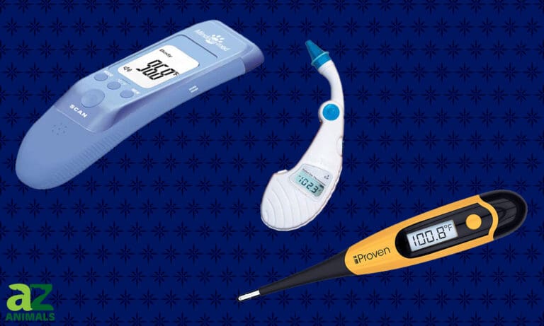 Dog Thermometers