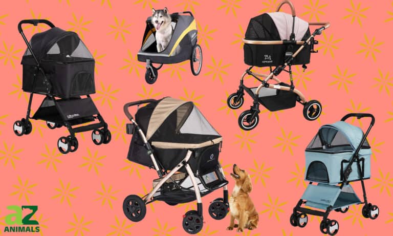 Dog Strollers