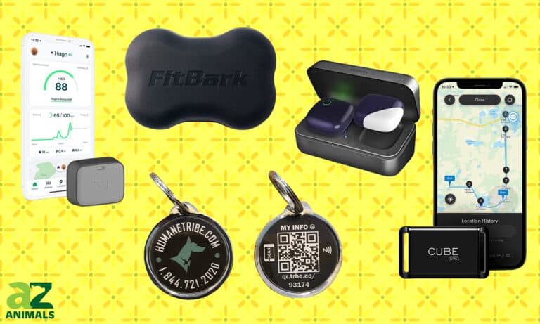 Dog GPS Trackers