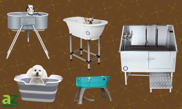 Dog Bath Tubs