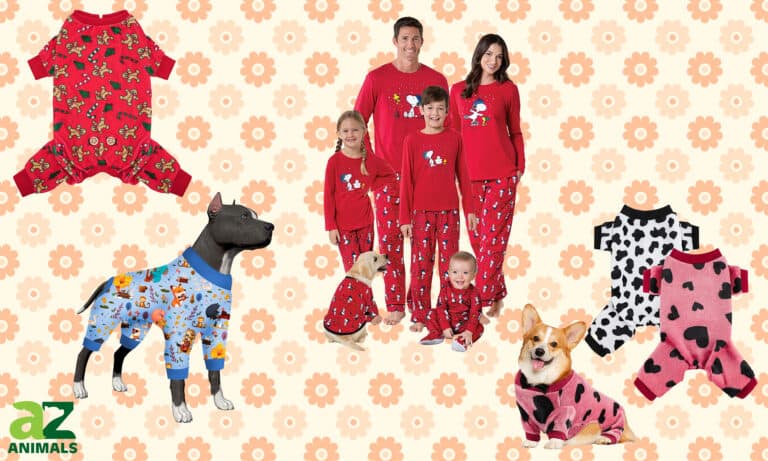 Dog Pajamas