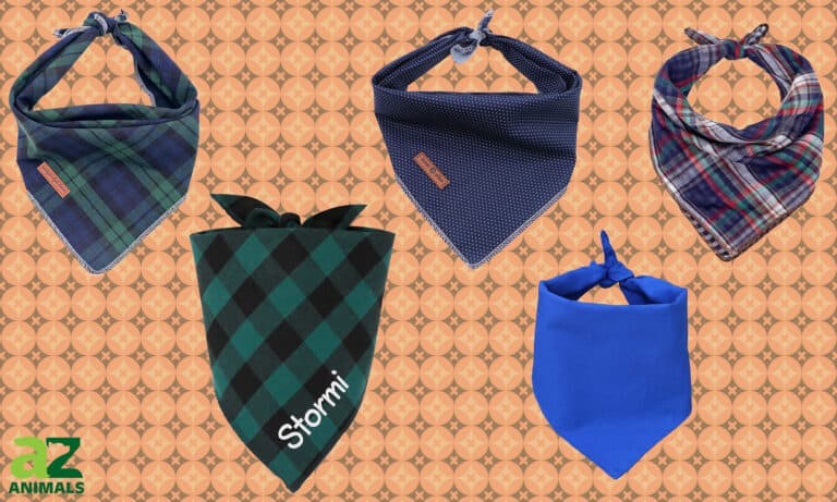 Dog Bandanas
