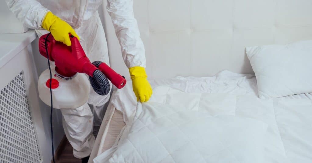 Get rid of bed bugs - pest control