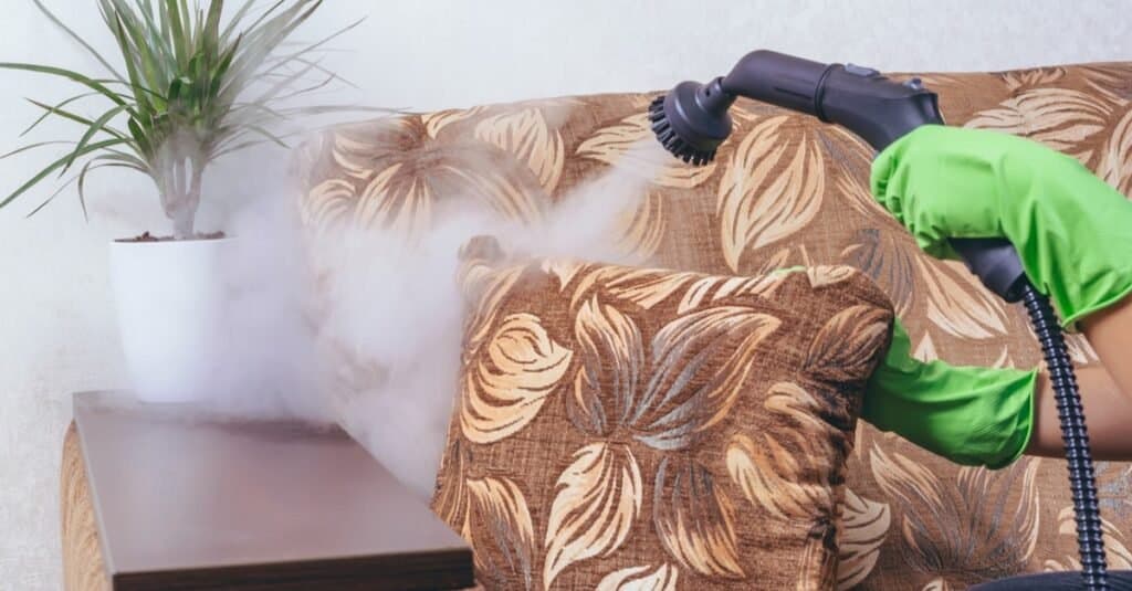 Get rid of bed bugs - steam cleaning