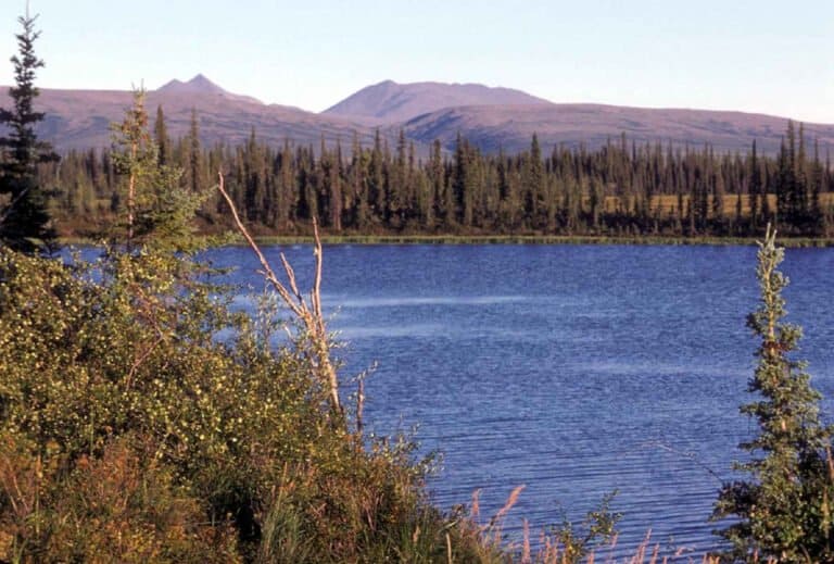 Junction of Selawik river and Ingruksuk river