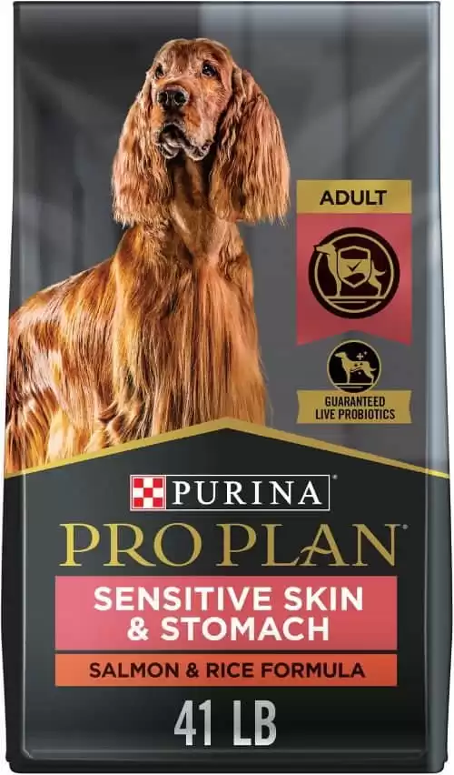 PURINA PRO PLAN Adult Sensitive Skin & Stomach Salmon & Rice Formula Dry Dog Food