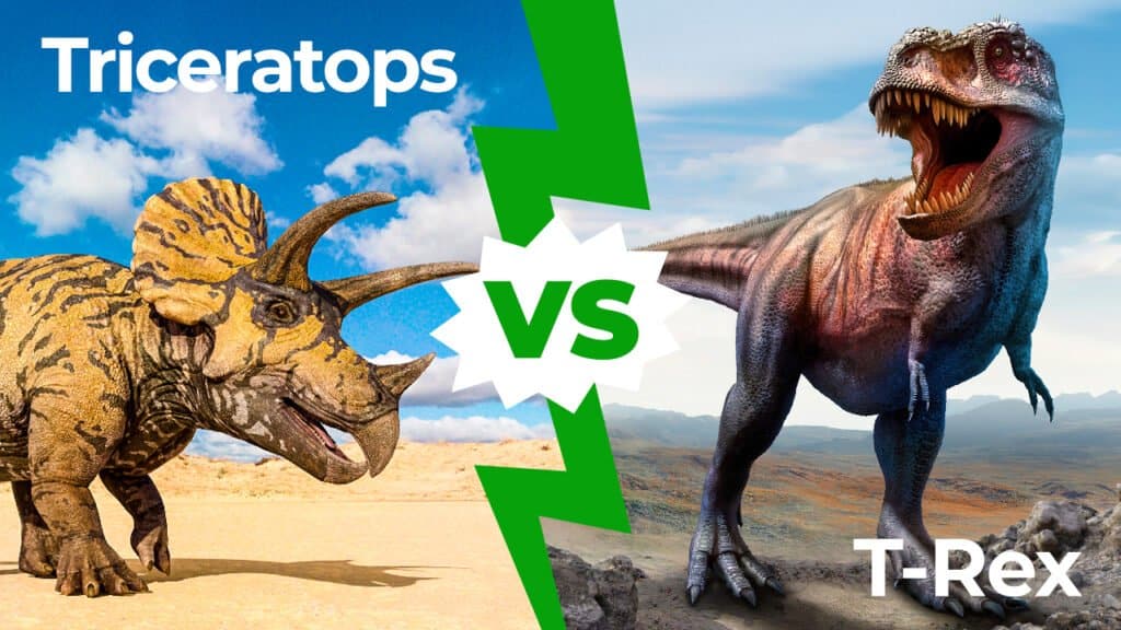 Triceratops vs T-Rex 1280x720