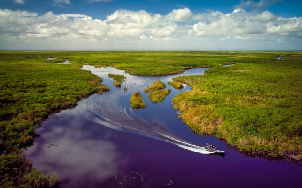 Everglades National Park, Airboat, Swamp, Florida - US State, Alligator
