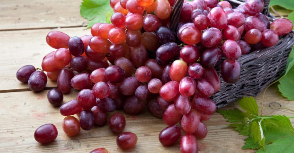 Are Grapes Dangerous - Red Grapes