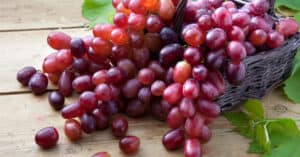 Are Grapes Poisonous to Dogs or Cats? Picture