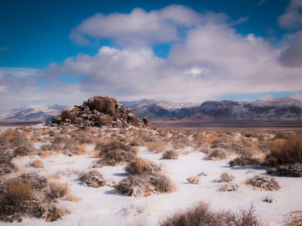 north american desert