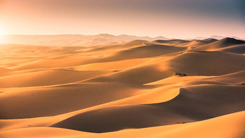 The Gobi Desert is the Mongolian death worm's habitat.