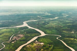 Is Unprecedented Drought Pushing the Amazon River to the Brink of Disaster? Picture