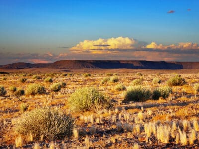 A The Kalahari Desert