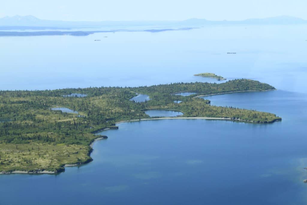Lake Iliamna is the biggest lake in Alaska covering 1,012 square miles