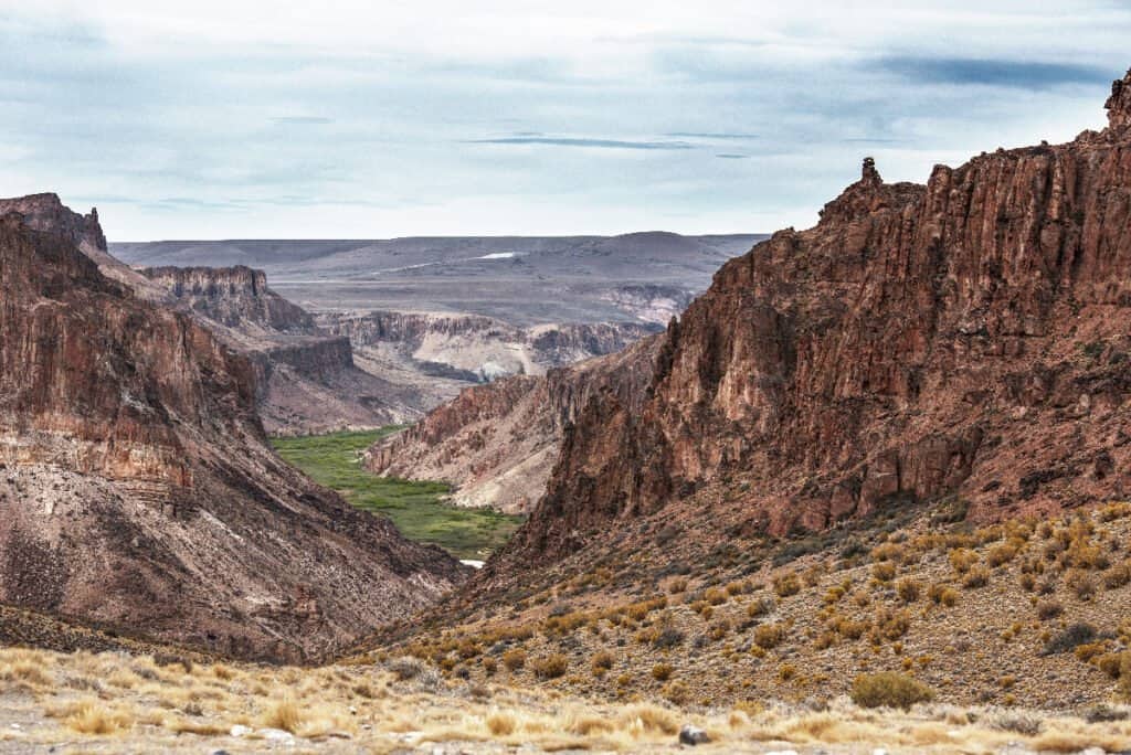  Patagonian Desert