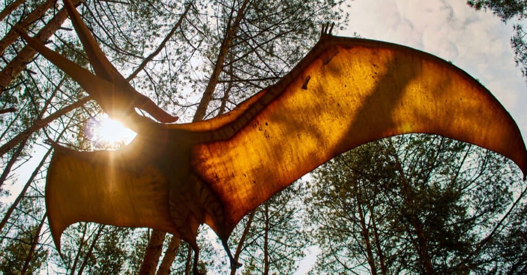 Quetzalcoatlus ile tanışın: Jurassic World Dominion'da 50 Ayaklı Uçan Dinozor