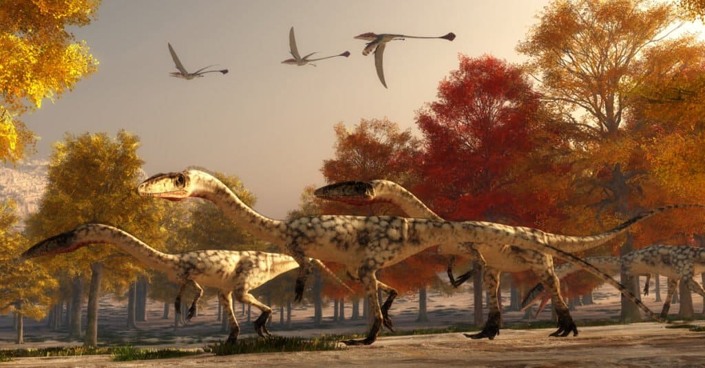What Do pterodactyls Eat - Dinosaur