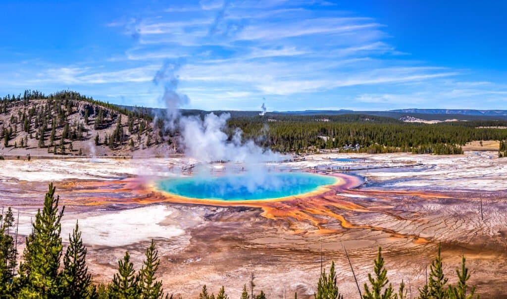 animals in Yellowstone National Park