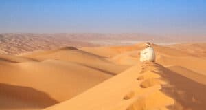 The Arabian Desert Picture