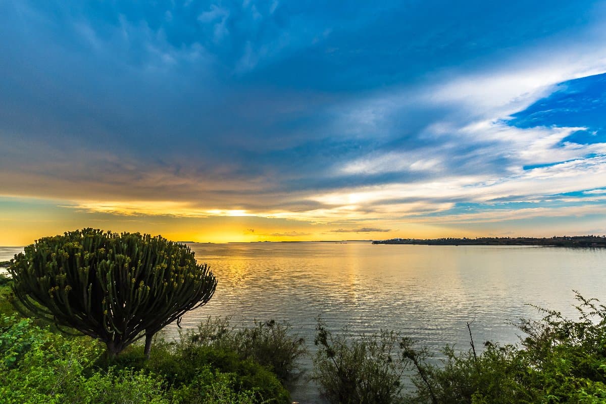 Озеро Виктория Кения