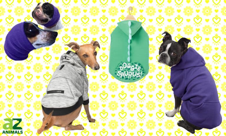 Dog Hoodies