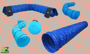 The Best Dog Agility Tunnels: Reviewed Picture