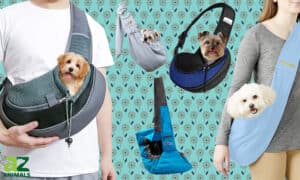 Best Dog Carrier Slings: Reviewed and Ranked Picture