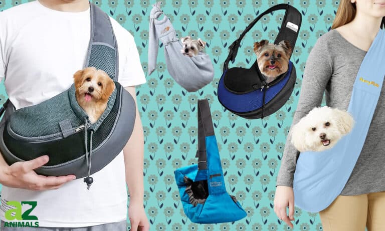 Dog Carrier Slings