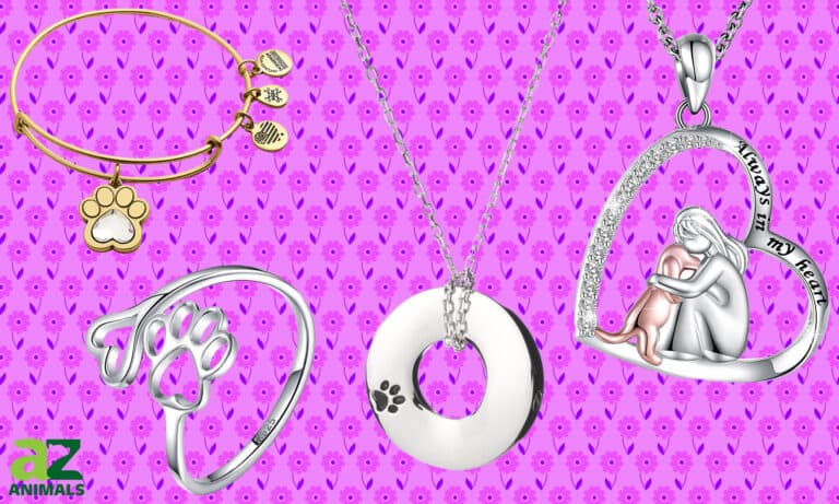 Dog Jewelry