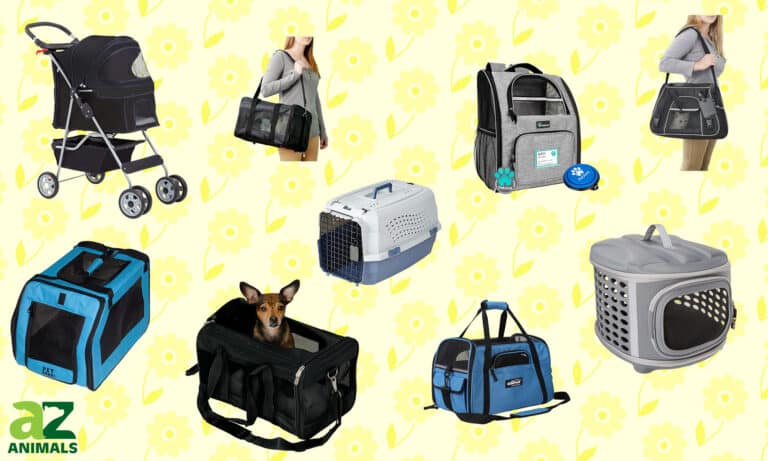 Cat Carriers