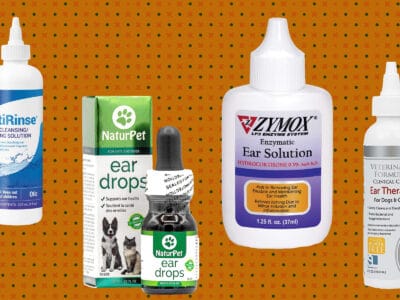 A The Best Ear Drops for Dogs: Reviewed and Ranked