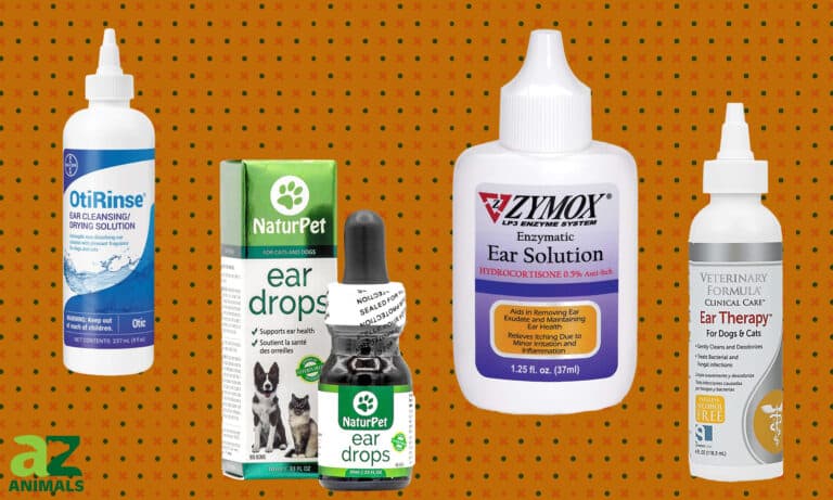 Ear Drops for Dogs