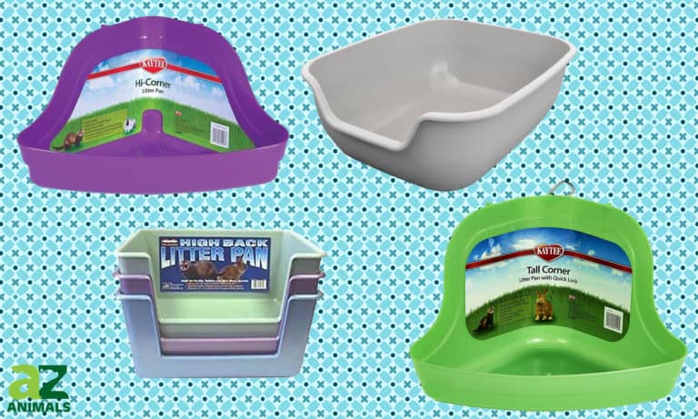 Ferret Litter Pans