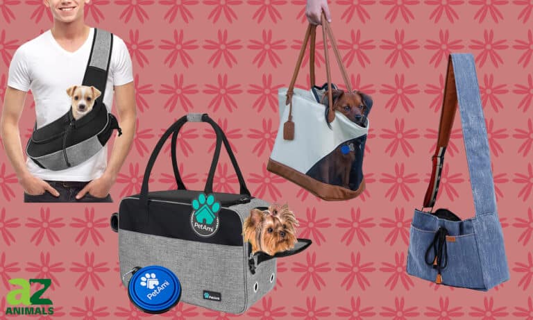 Dog Purse