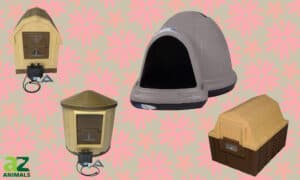 The Best Heated Dog House — Reviewed and Ranked Picture