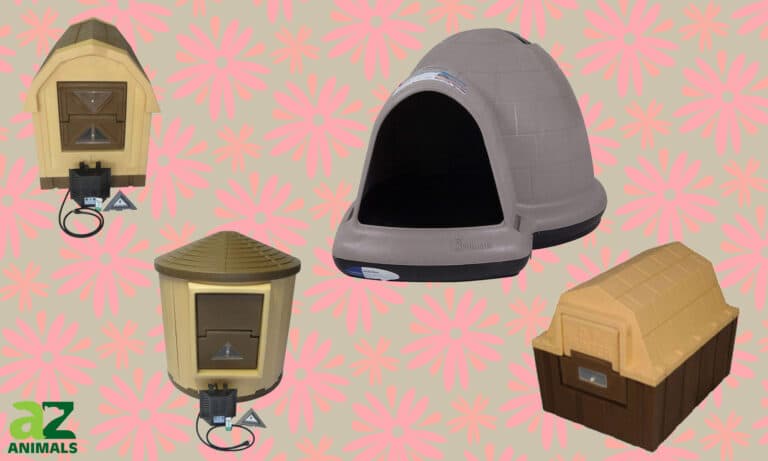 Heated Dog House