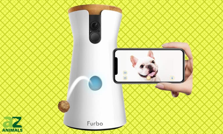 Furbo Dog Camera