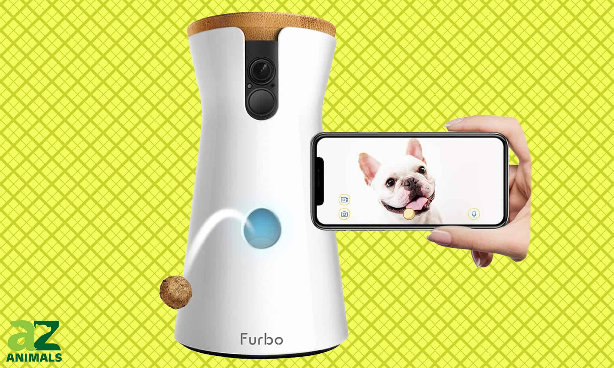 Furbo Dog Camera Guide: Everything You Need to Know - AZ Animals