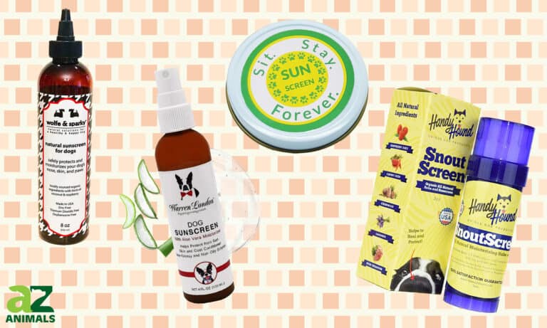 Dog Sunscreen