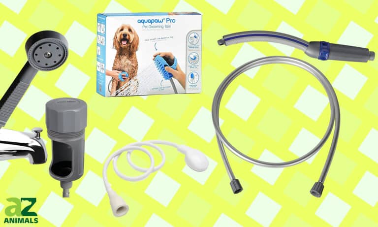 Dog Shower Head