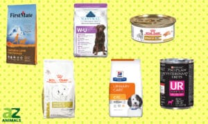 The Best Urinary Care Dog Food: Reviewed and Ranked Picture