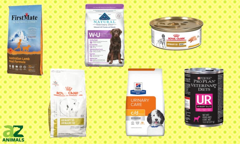Urinary Care Dog Food