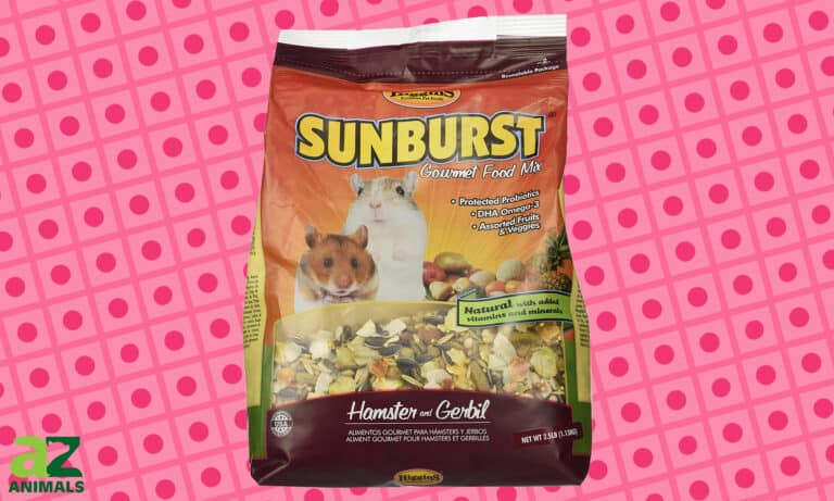 Higgins Sunburst Gourmet Food Mix for Hamsters and Gerbils
